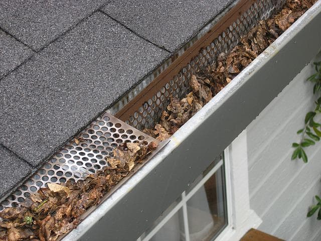 summer plumbing maintenance means clearing out gutter