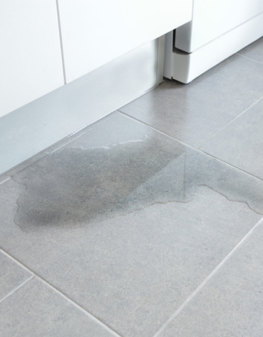 slab leak repair seattle
