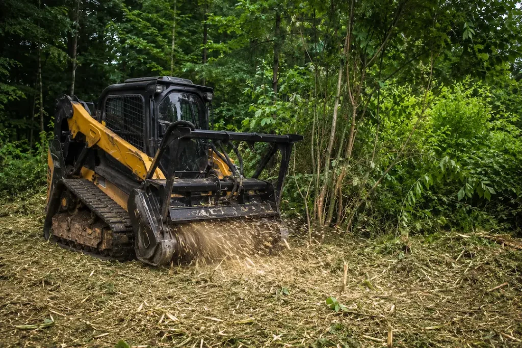 forestry mulching land clearing Virginia brush removal