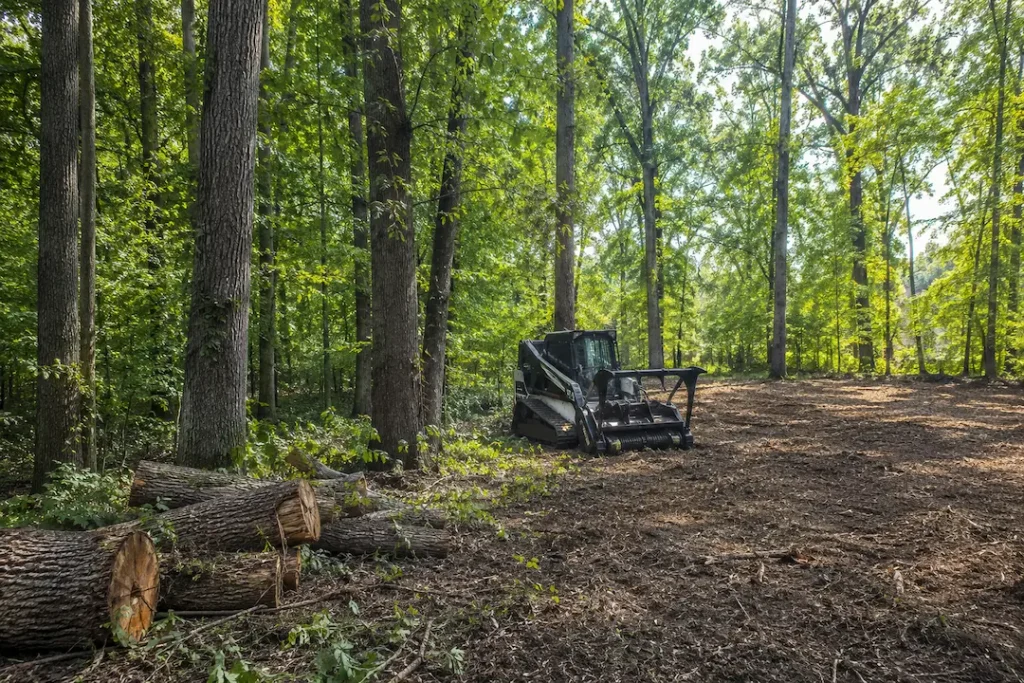 wooded lot clearing Northern Virginia mature hardwoods