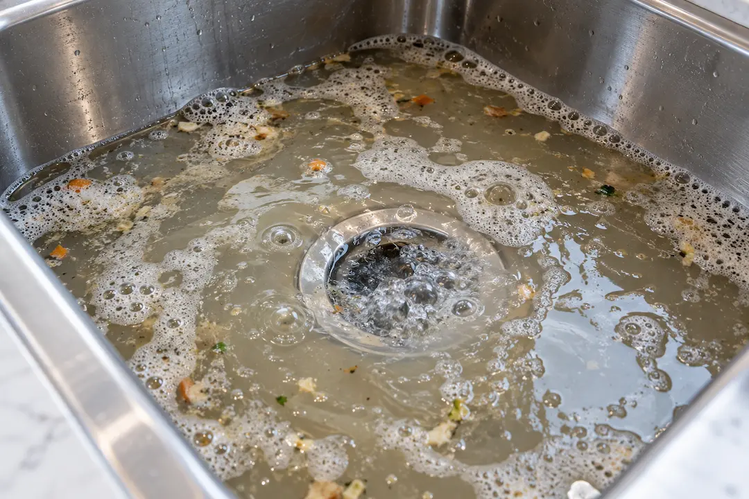 dishwasher backs up into kitchen sink Everett WA
